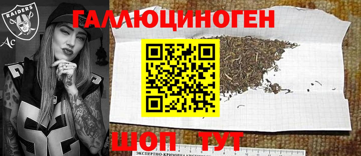 Псилоцибиновые грибы мицелий Дедовск