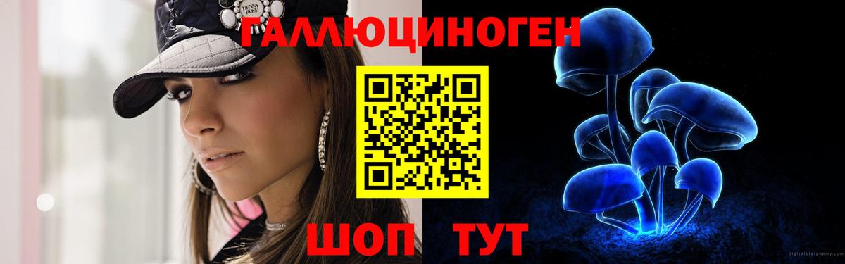 Дедовск  Псилоцибиновые грибы прущие грибы  Вход с VPN 